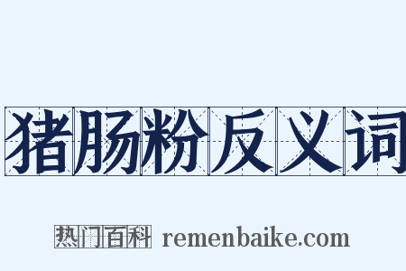 猪肠粉反义词是什么意思的图片